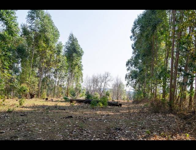 LAND FOR SALE IN GREENDALE